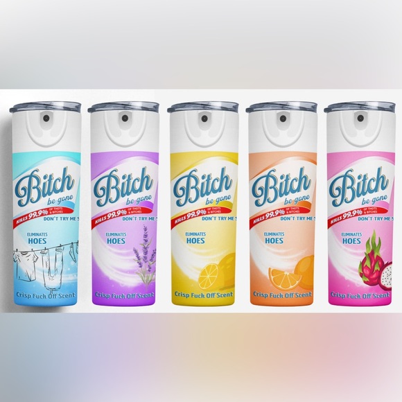 B*tch Be Gone Tumbler Cup Stainless Steel with straw and lid - Picture 1 of 6